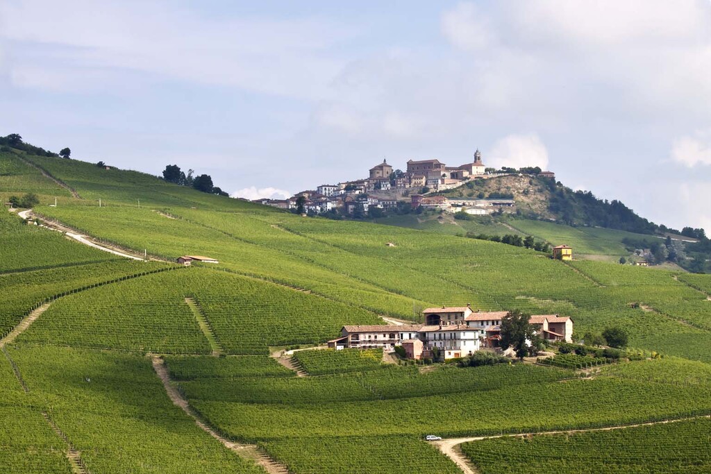 Langhe