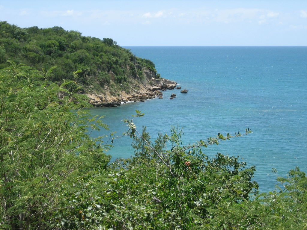 Guánica State forest